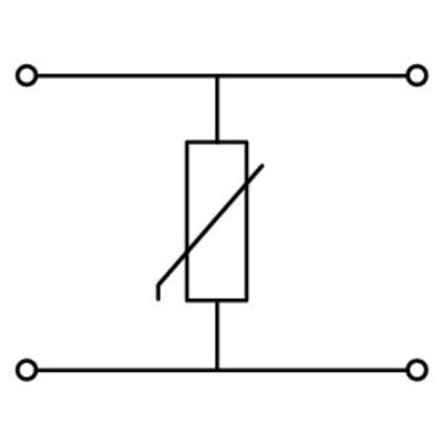  Borne avec varistor et AP 110 