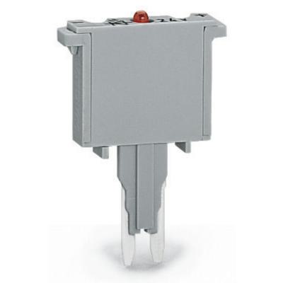  Fiche fusible 2,5 mm� / 2 A FF 