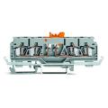  Borne sectionnable grise 4C / 