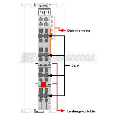  Distrib. polarit�s 8+ 