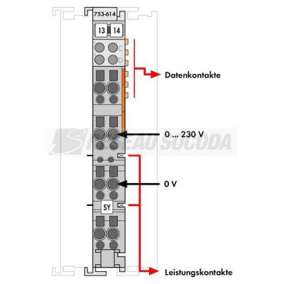  Distrib. polarit�s 4+ 4- 