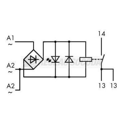  Module avec relais 24 V AC - 1 