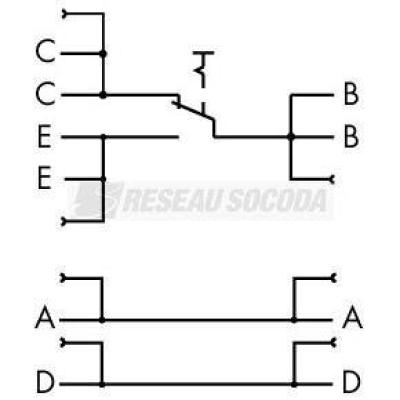  Module avec interrupteur 1 con 