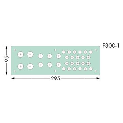  Plaque F300-1 