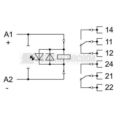  Embase avec relais 24 V DC - 2 